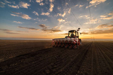 Farmer with tractor seeding - sowing crops at agricultural fields in springの写真素材