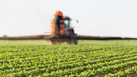 Tractor spraying pesticides on soybean field  with sprayer at springの写真素材