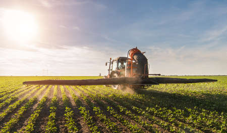 Tractor spraying pesticides on soybean field  with sprayer at springの写真素材