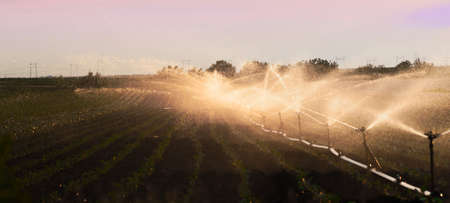 Irrigation system watering a crop of soy beans at fieldの写真素材