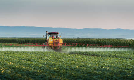 Tractor spraying pesticides on vegetable field  with sprayer at springの写真素材