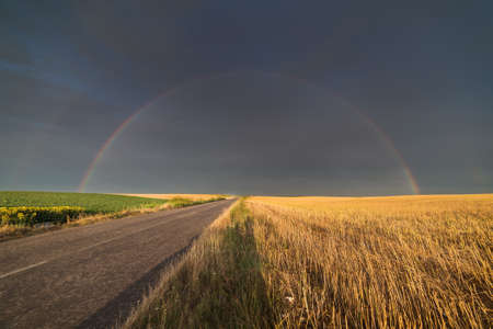 Wheat fields in sunny summer day after rain and rainbow behindの写真素材