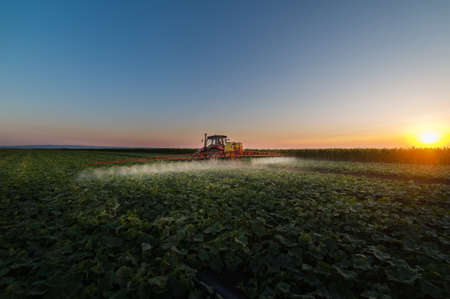 Tractor spraying pesticides on soybean field  with sprayer at springの写真素材
