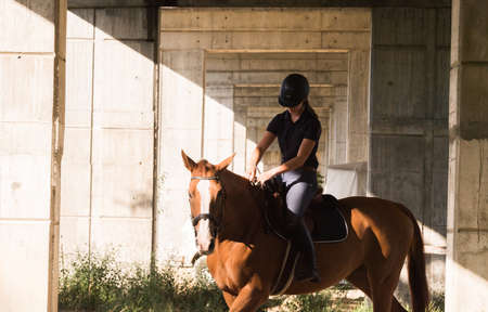 Young pretty girl - riding a horse with backlit leaves behindの写真素材