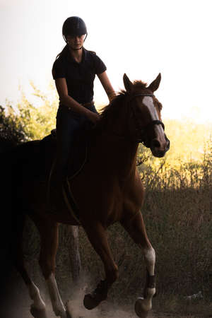 Young pretty girl - riding a horse with backlit leaves behindの写真素材