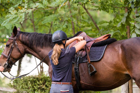 Young pretty girl preparing horse for ride