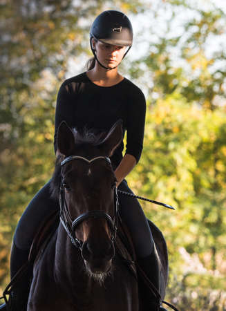 Young pretty girl - riding a horse with backlit leaves behindの写真素材