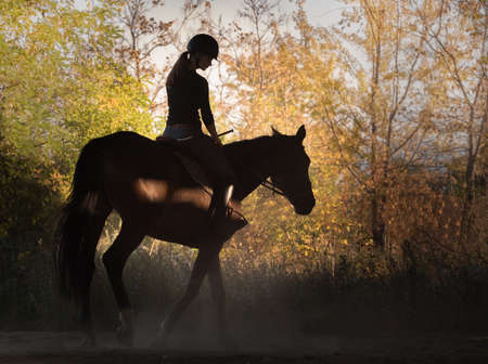 Young pretty girl - riding a horse with backlit leaves behindの写真素材
