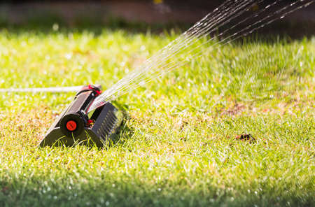 Sprinkler head spraying water on green lawnの写真素材