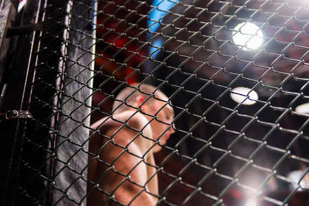  MMA Boxers fighters fight in fights without rules in the ring octagons
