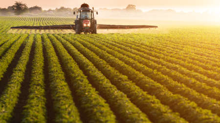 Tractor spraying pesticides on soybean field with sprayer at springの写真素材