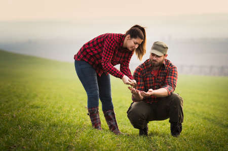 Young farmers examing planted young wheat during winter seasonの写真素材