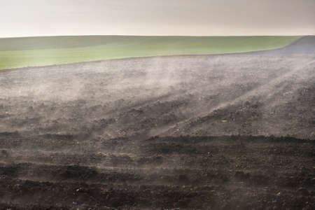 The ploughed field and young wheat field - the morning fogの写真素材