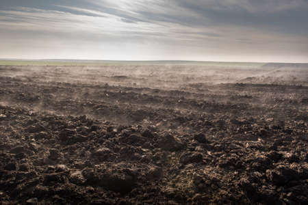The ploughed field and young wheat field - the morning fogの写真素材