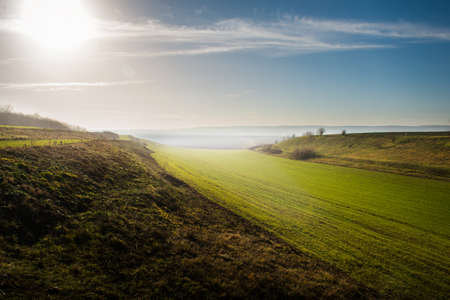 Agricultural landscape, arable crop fieldの写真素材