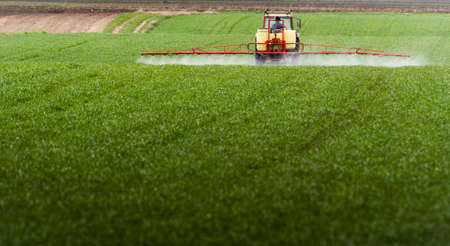 Tractor spraying pesticides on wheat field with sprayer at springの写真素材