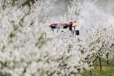Tractor sprays insecticide in apple orchard fields