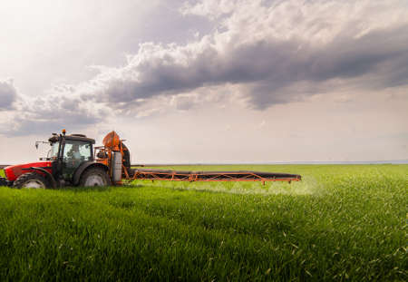 Tractor spraying pesticides on wheat field with sprayer at springの写真素材
