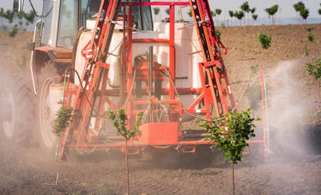 Tractor spraying pesticides on cherry orchard at springの写真素材