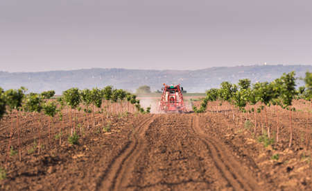 Tractor spraying pesticides on cherry orchard at springの写真素材