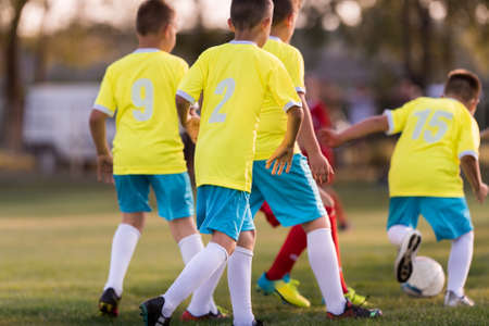 Young children players match on soccer fieldの写真素材