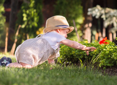 Baby boy sitting on the grass  watching flowers in the garden on beautiful spring dayの写真素材