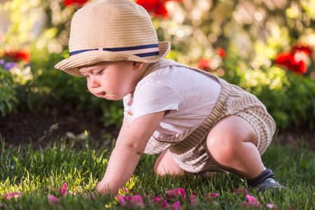 Baby boy sitting on the grass  watching flowers in the garden on beautiful spring dayの写真素材