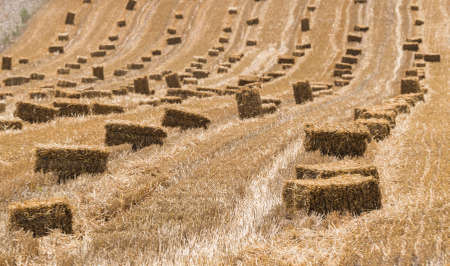 Hay bales on countryside field