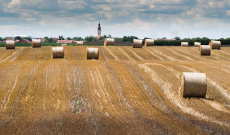 Beautiful landscape of agricultural wheat field - Round bundles of dry grass in the field,bales of...