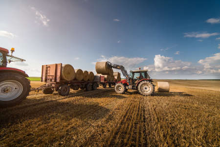 Agriculture straw wagon in farm field