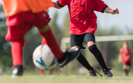 Young children players on the football match fieldの写真素材
