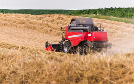 Harvesting of wheat fields with combine