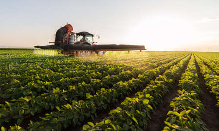 Tractor spraying pesticides at  soy bean fieldsの写真素材