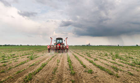 Farmer with tractor seeding  crops at agricultural field