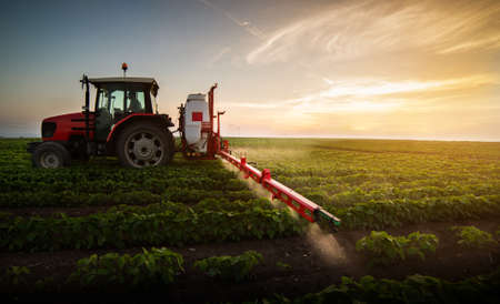 Tractor spraying pesticides at  soy bean fieldsの写真素材
