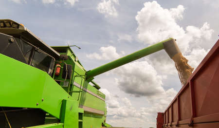 Pouring wheat grain into tractor trailer after harvest at fieldの写真素材