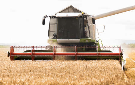 Harvesting of wheat field with combine in early summerの写真素材
