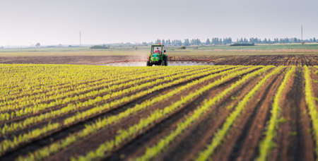 Tractor spraying pesticides at corn fields