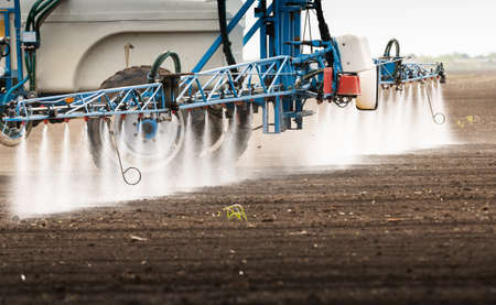 Tractor spraying pesticides at  wheat fieldsの写真素材