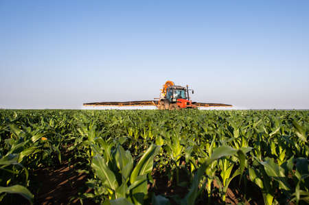 Tractor spraying pesticides on corn field  with sprayer at springの写真素材