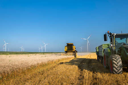 wheat harvest and wind farm turbinesの写真素材