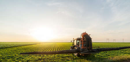 Tractor spraying pesticides on soybean field  with sprayer at spring