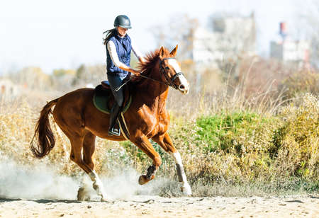 Young pretty girl - riding a horse with backlit leaves behind in  autumnの写真素材