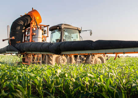 Tractor spraying pesticides on corn field  with sprayer at springの写真素材