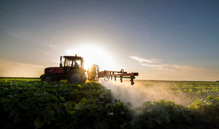 Tractor spraying pesticides on vegetable field  with sprayer at springの写真素材