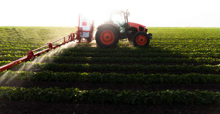 Tractor spraying pesticides on soy field  with sprayer at spring