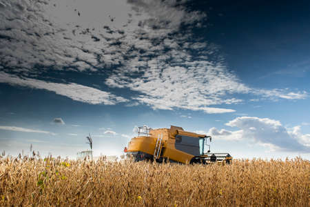 A combine harvester working in a wheat fieldの写真素材