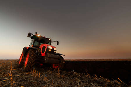 tractor plows the field in the evening at sunset.