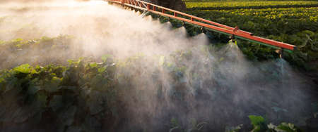 Tractor spraying pesticides on vegetable field  with sprayer at springの写真素材