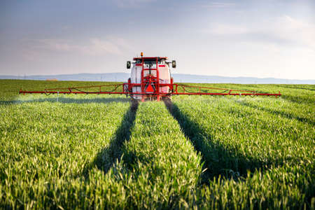 Tractor spraying pesticides over a green fieldの写真素材